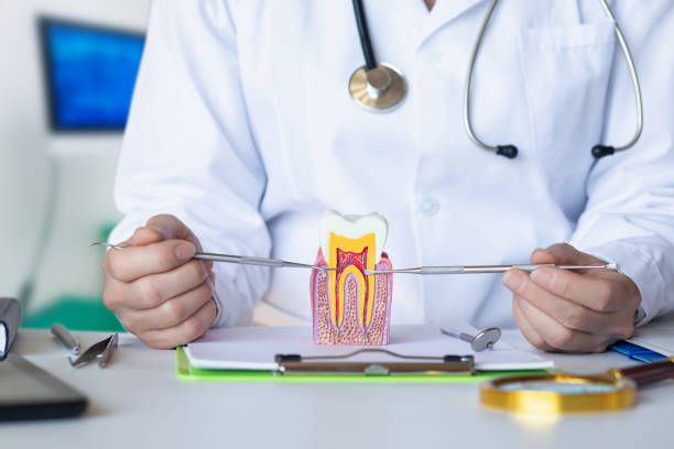 Best Cosmetic Emergency Dentistry in Maple Heights, OH